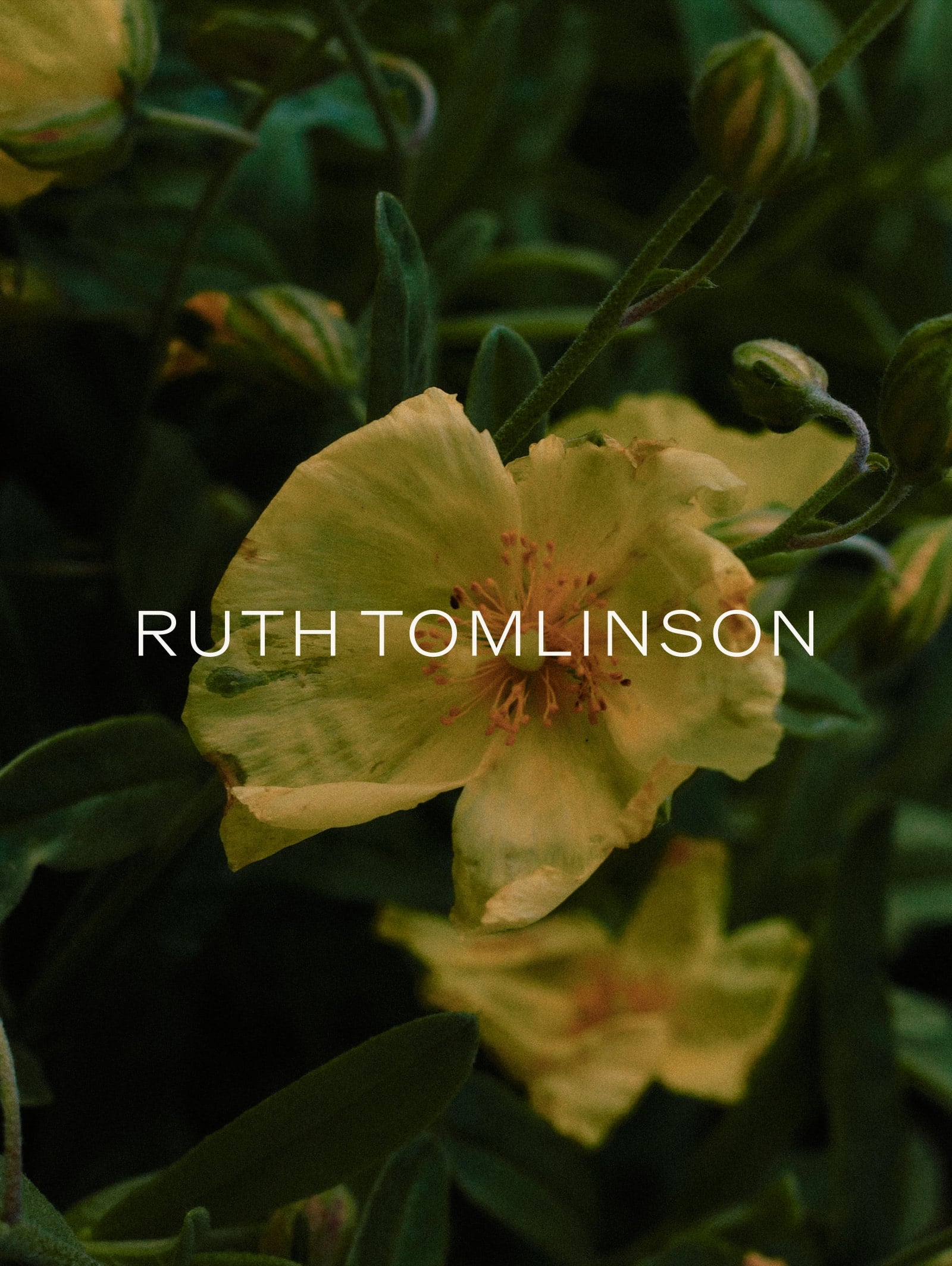 RT_Instagram-Post-Template_Portrait-12