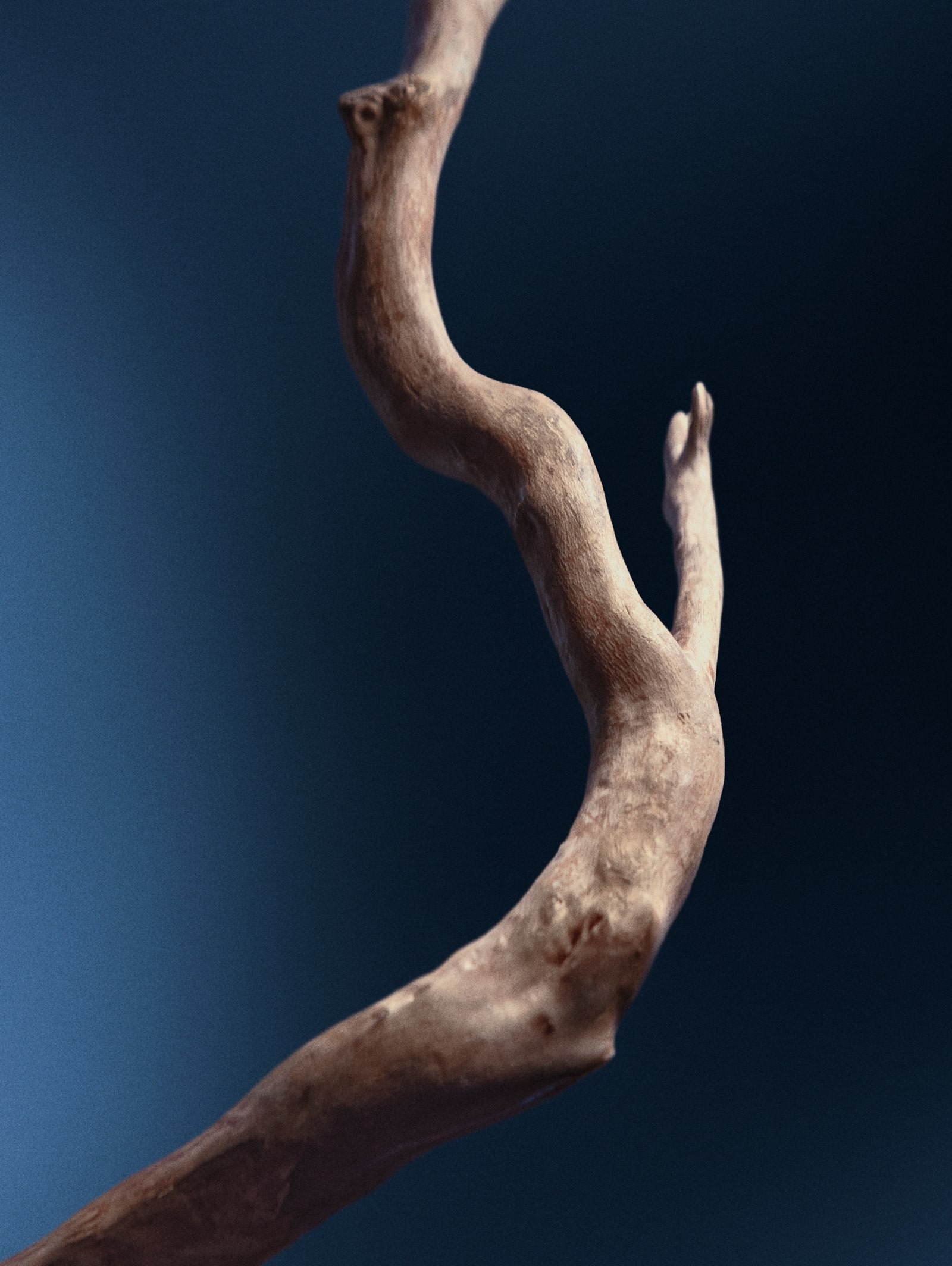 Aesop_Resolute_Casestudy_Images5